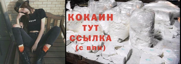 стаф Гусев
