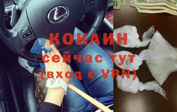 стаф Гусев