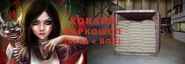 стаф Гусев