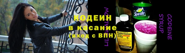 стаф Гусев